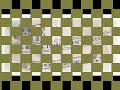 Jack Russell Terrier Racing