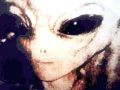 Alien Rave