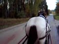 Driving my pony