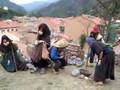 Els golluts de Ribes de Freser