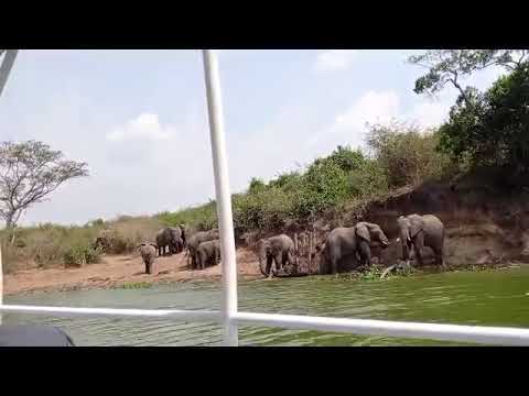 Kazinga Channel Boat Cruise