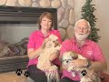 Furry Friends Inc .wmv Furry Friends Inc .wmv