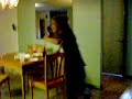 taylors ghost