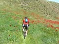 Sendero de la Higuera - zona baja Sendero de la Higuera - zona baja