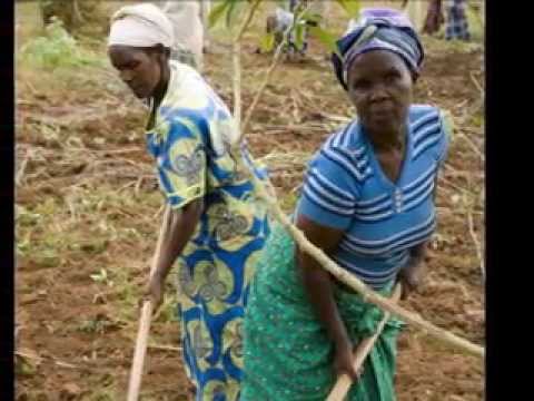 Essay about characteristics of developing countries