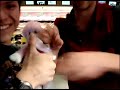 Video de Orientacion Mecatronica Parte 2