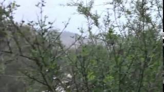 بلدي يعشقه الشتاء - وادي الحوارث المهجرة والمدمرة قضاء طولكرم بلدي يعشقه الشتاء - وادي الحوارث المهجرة والمدمرة قضاء طولكرم