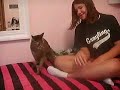 My cat is evil
