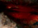 Electric Clam in Lembeh