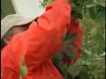 IW California member Dave Penry appears in national TV ad