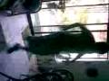 videos de the bing bonger