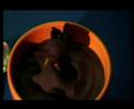 film animation album lmz de marc m�nager.