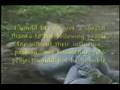 videos de Joe Maffei reality of edged weapons