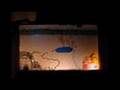 videos de Wildlife Vaasa Festival_Christmas Greetings 2007