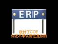 erp song