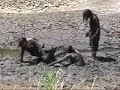 Rappy's Mud Wrestling Camp