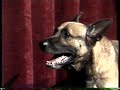 going to the dogs -part 01 -  this is the famous play for dogs by dutch wim t. schippers.
the quality of this video is very very poor,sorry, i hope once they bring this play out on dvd !!