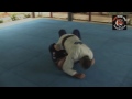 Drew Gardineer shows BJJ Gi choke from mount at Tiger Muay Thai and MMA Phuket