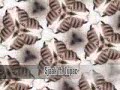 Sjaak ft. tupac - cash money rmx