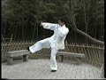 ?????????/Chen Style fajin practice ?????????/Chen Style fajin practice