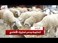 الحكومة تسعى إلى الرفع من استيراد الأضاحي