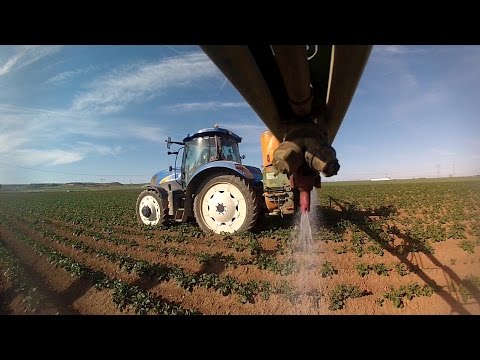 how to grow potatoes in nh