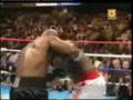 Best fight on youtube