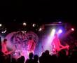 orko live king tuts