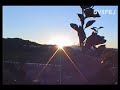 SUMMER-IN-NAXOS-GREE