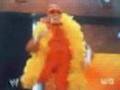 Hulk Hogan challenges Stone Cold Steve Austin
