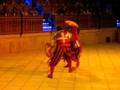 knights spectacular 1565
