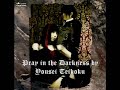 Yousei Teikoku - Pray in the Darkness
