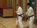 Yamaguchi-sensei teaching/demonstrating hipmovements