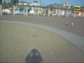 14Biz Vicentente de Carvalo Quadriciclo RC
