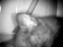 DVR-IR sample movie 1