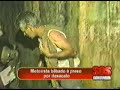 Programa Policial