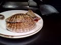 Roku Roku - Tiger Prawns