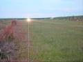 Air Tractor AT-402B Taking off at dawn