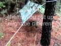 Wilderness Survival Rain Poncho as a Shelter