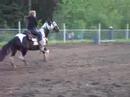 Kassi Simpson On Zip Barrel Racing Kassi Simpson On Zip Barrel Racing