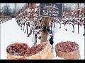Vino de Hielo, Ice wine, Eiswein.wmv