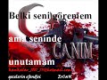 gecelerin-efendisi.html