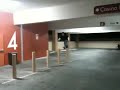 VegasKidz : Ninja Assassian Nick