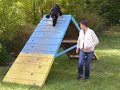 Cockers en agility