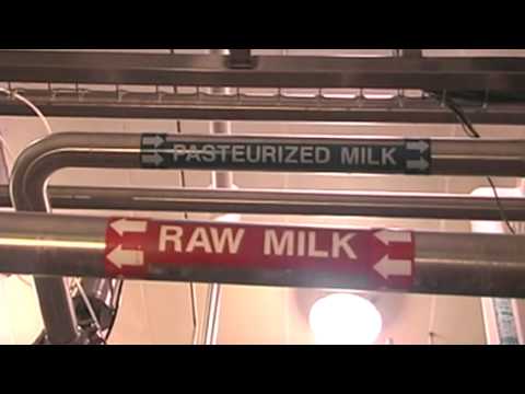 dannon yogurt - Part 1 of 2: The Dannon Company, a subsidiary of Groupe Danone Paris, is the premier maker of healthful live & active culture yogurt products in the United S...