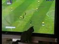 gato viciado por futebol