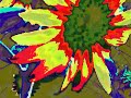 Flower Art Exhibition