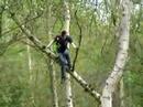 Jumping from a tree