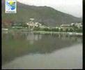 Pinhão
