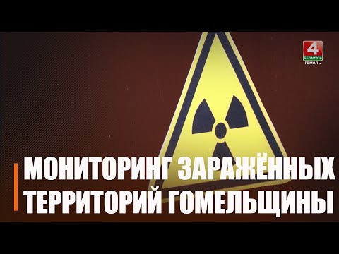 Исследование проводится раз в 5 лет. На Гомельщине проверяли, ушла ли радиация с загрязненных поселений видео